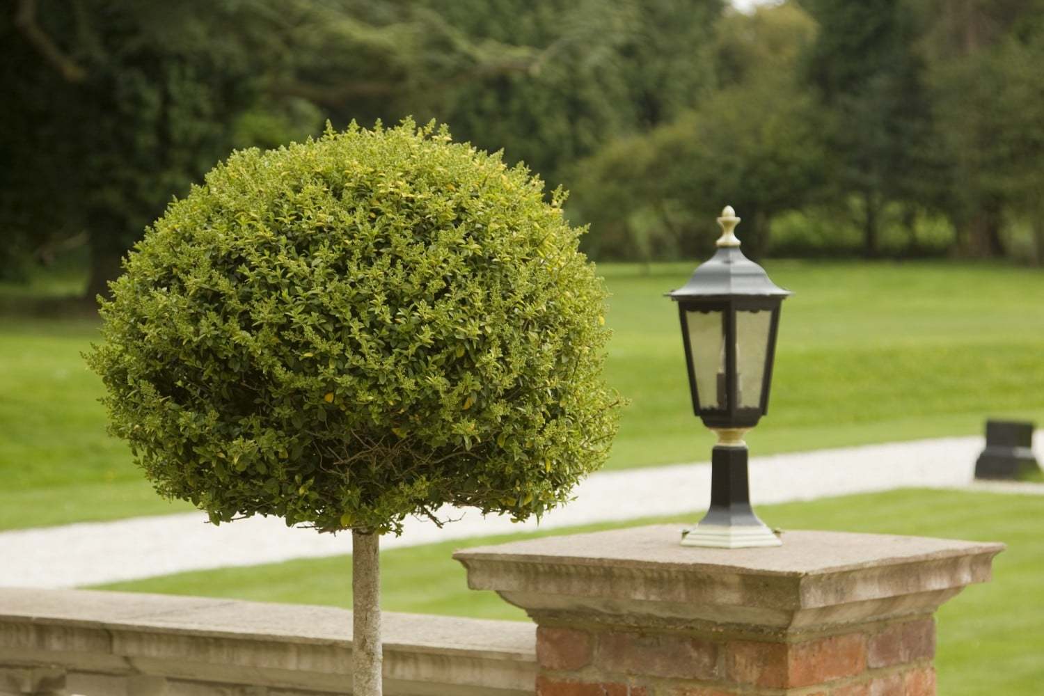 Oakley Hall Hotel Basingstoke Ngoại thất bức ảnh